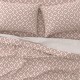 ASTRON - Σετ Σεντόνια Υπέρδιπλα Chiara Chocolat 2Χ(2,45Χ2,60) + 2Χ(52Χ72)