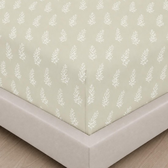 ASTRON - Σετ Σεντόνια Υπέρδιπλα Με Λάστιχο Vivian Beige 1Χ(245X260)+1(160Χ200+40)+2Χ(50Χ70) 