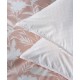 KENTIA - ROSAIRA 18A ΜΑΞΙΛΑΡΟΘΗΚΕΣ.ΣΕΤ 2 ΤΕΜ (50X70+3)
